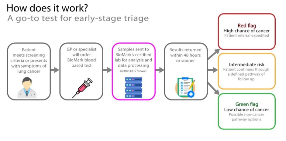 Flowchart of the BioMark Diagnostics blood-based lung cancer test: GP or specialist order, certified lab analysis within the NHS firewall, results in 48 hours, then red, intermediate, or green clinical flags.